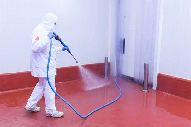 Paint Preparation in Lake Delta, NY